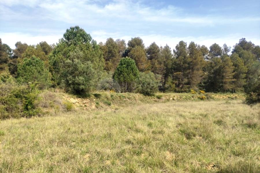 Te koop - Landhuis - Bocairent