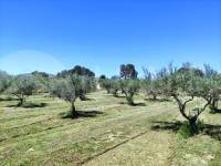 Te koop - Landhuis - Ontinyent