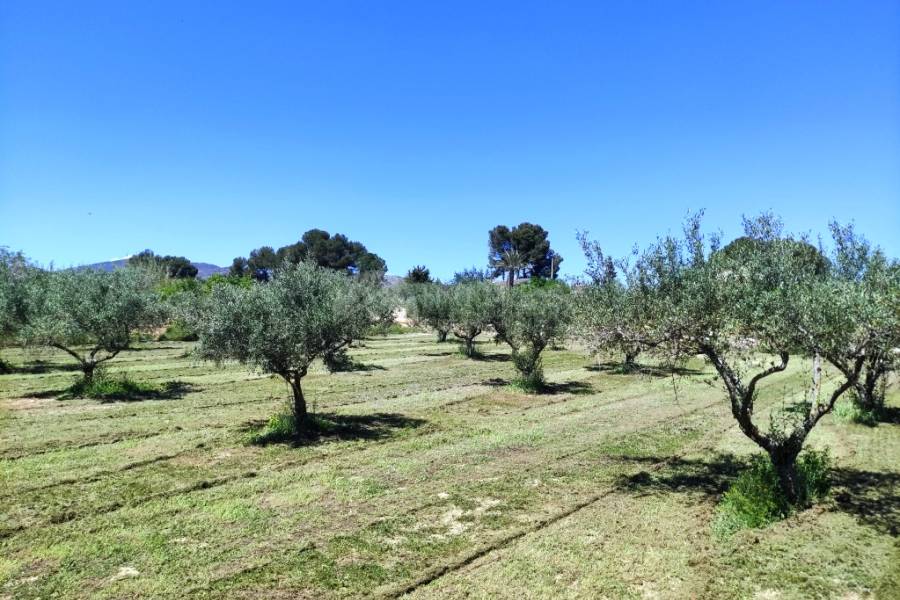 Te koop - Landhuis - Ontinyent