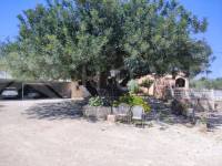 Te koop - Landhuis - Ontinyent