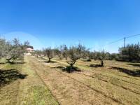 Te koop - Landhuis - Ontinyent