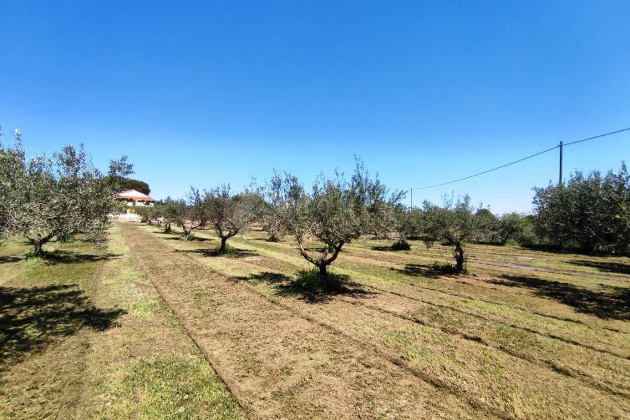 Te koop - Landhuis - Ontinyent