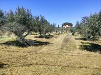 Te koop - Landhuis - Ontinyent