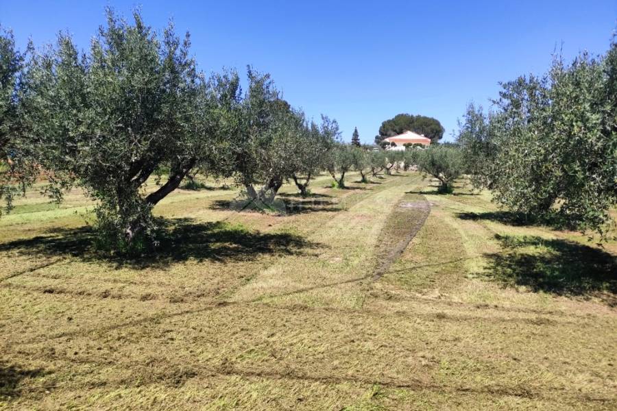 Te koop - Landhuis - Ontinyent