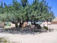 Te koop - Landhuis - Ontinyent