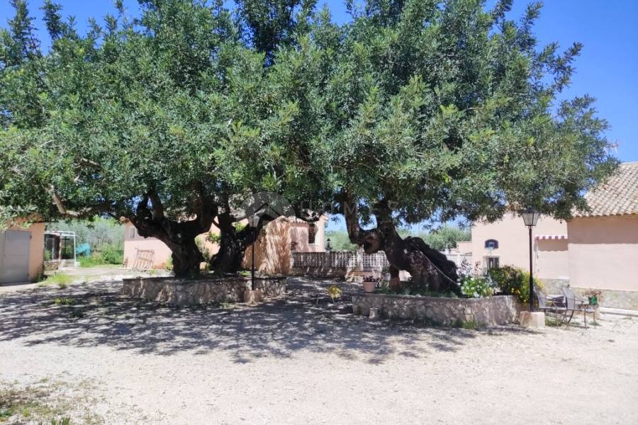 Te koop - Landhuis - Ontinyent