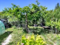 Te koop - Villa - Alfafara