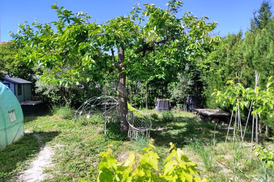 Te koop - Villa - Alfafara