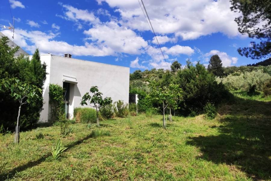 Te koop - Villa - Alfafara