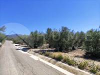 Te koop - Rustiek land - Muro de Alcoy