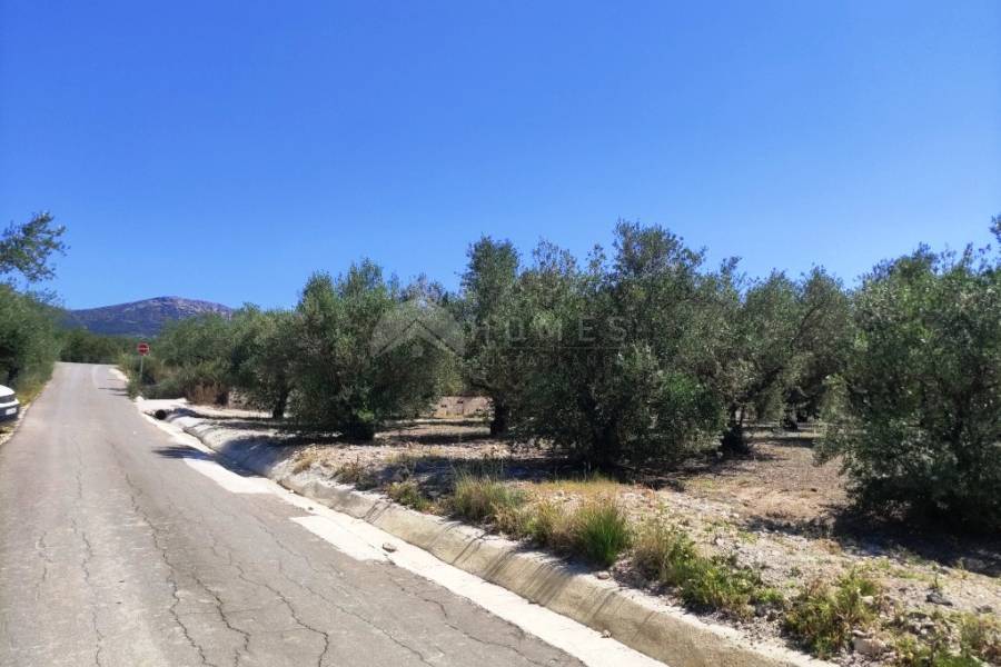 Te koop - Rustiek land - Muro de Alcoy