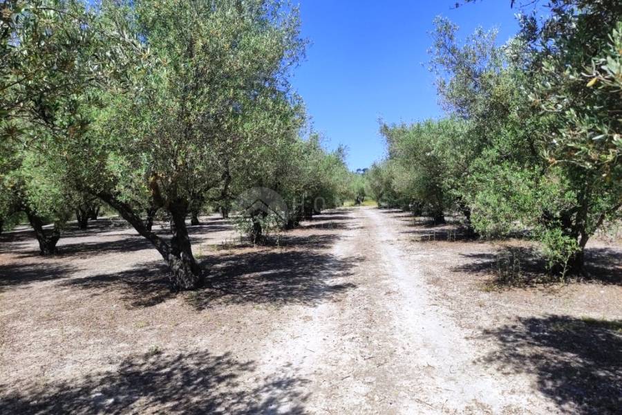 Te koop - Rustiek land - Muro de Alcoy