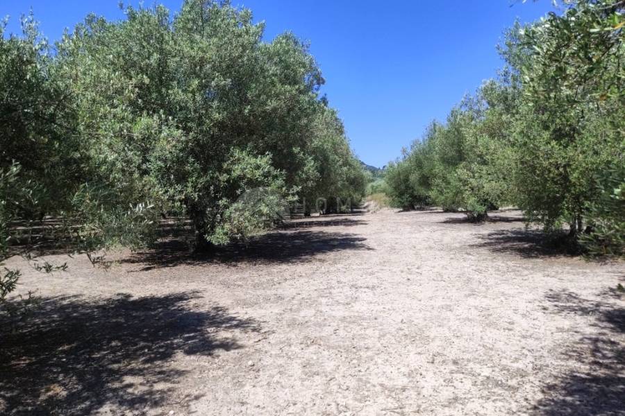 Te koop - Rustiek land - Muro de Alcoy