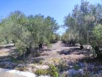 Te koop - Rustiek land - Muro de Alcoy