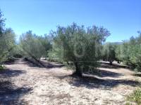 Te koop - Rustiek land - Muro de Alcoy
