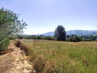 Te koop - Rustiek land - Muro de Alcoy