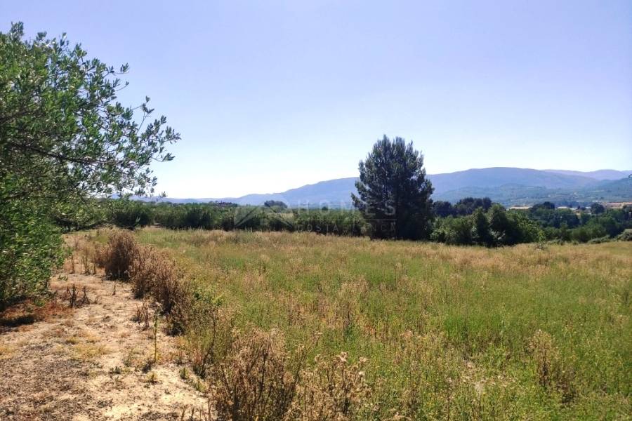 Te koop - Rustiek land - Muro de Alcoy