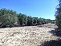 Te koop - Rustiek land - Muro de Alcoy