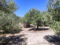 Te koop - Rustiek land - Muro de Alcoy