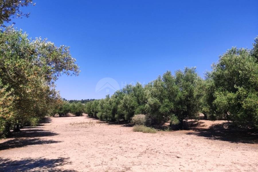 Te koop - Rustiek land - Muro de Alcoy