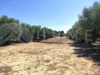 Te koop - Rustiek land - Muro de Alcoy