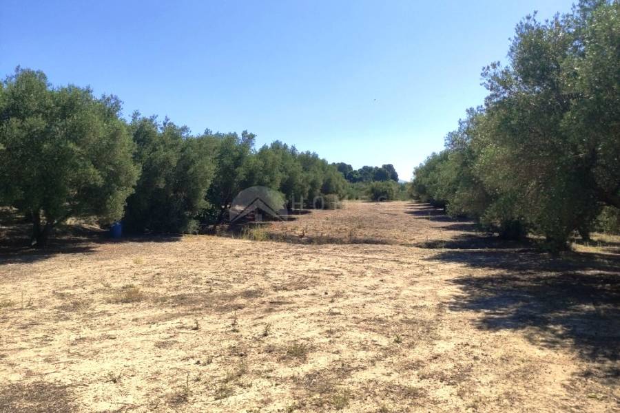 Te koop - Rustiek land - Muro de Alcoy