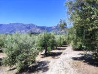 Te koop - Rustiek land - Muro de Alcoy