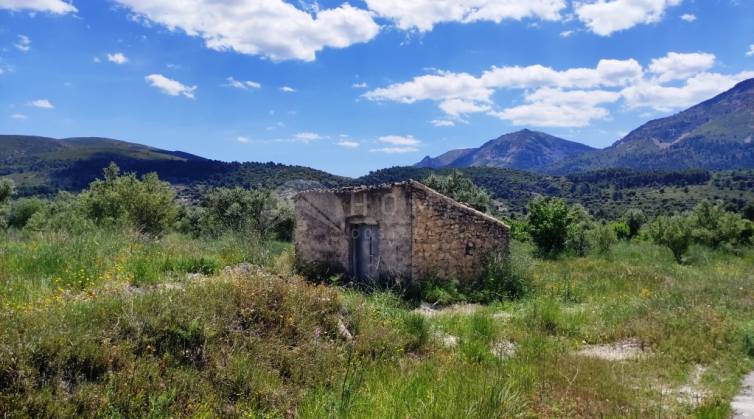 Parcela Rústica - Venta - Benimassot - Benimassot