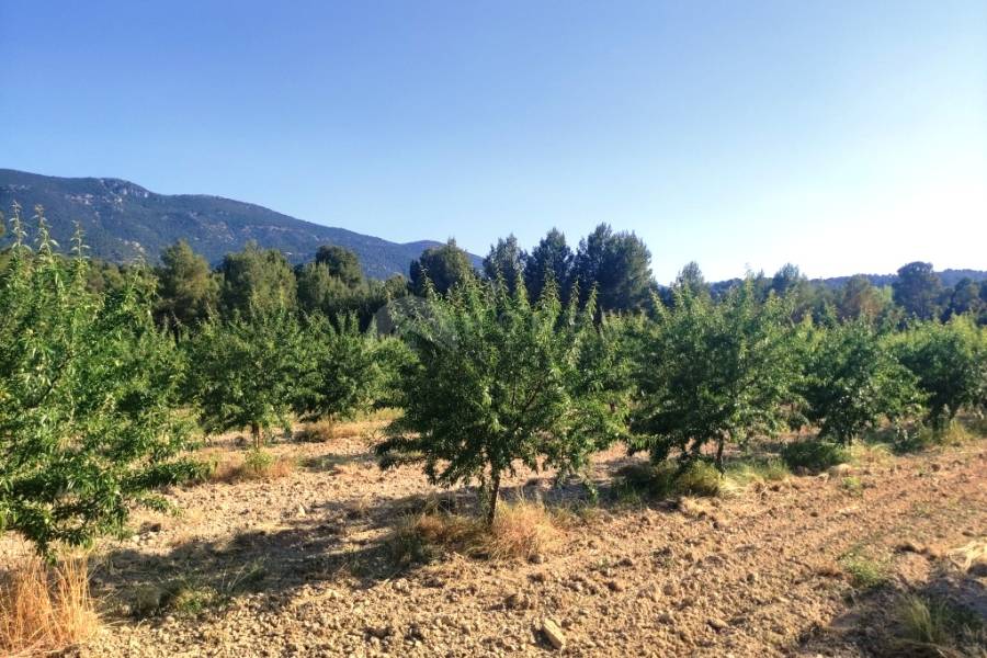 For sale - Villa - Alcoy