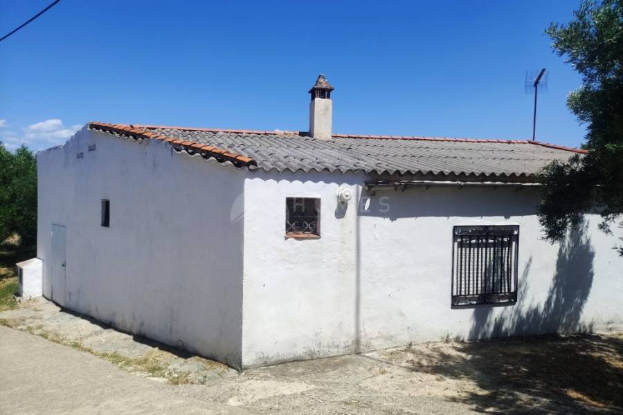 Te koop - Landhuis - Ontinyent