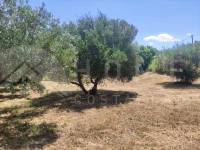 Te koop - Landhuis - Ontinyent