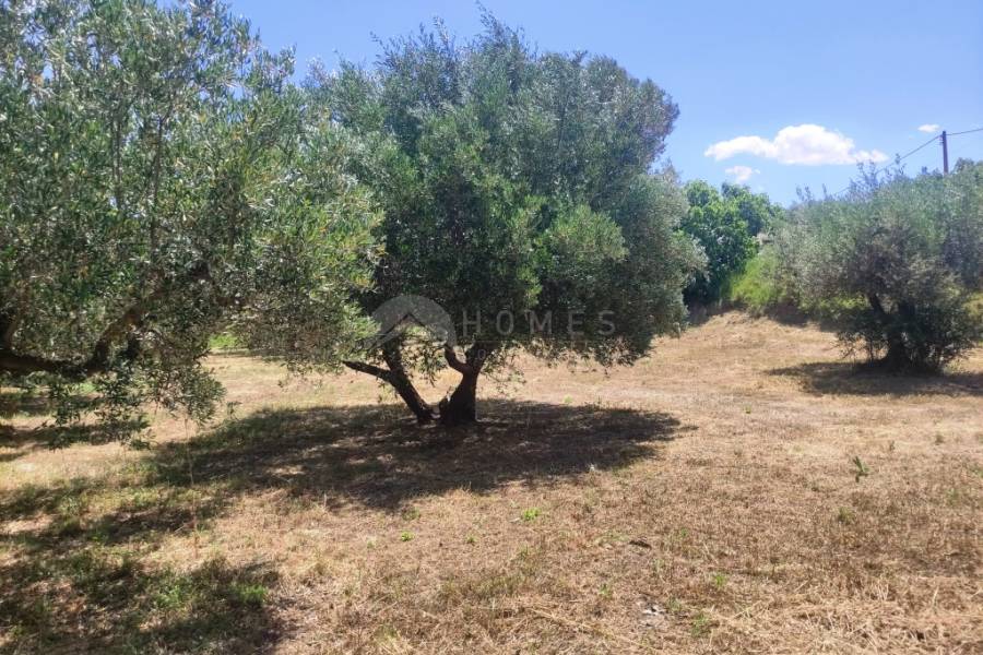Te koop - Landhuis - Ontinyent