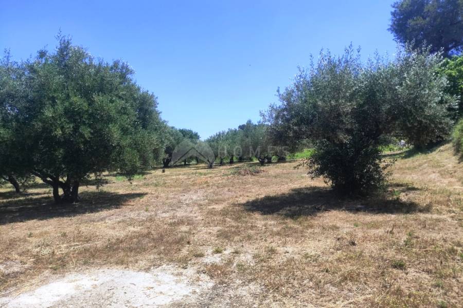 Te koop - Landhuis - Ontinyent