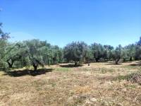 Te koop - Landhuis - Ontinyent