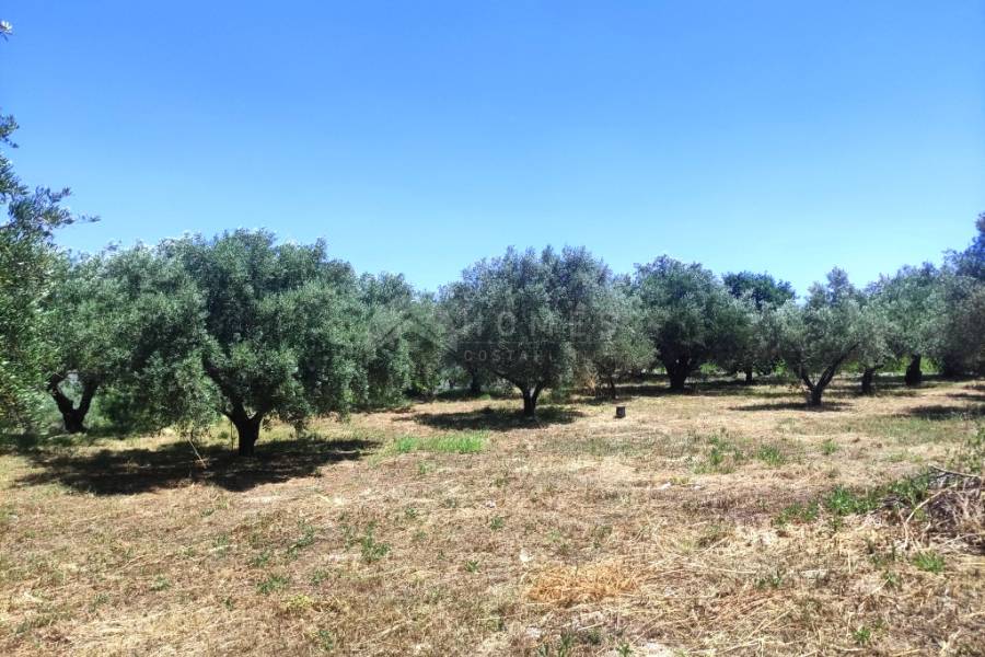 Te koop - Landhuis - Ontinyent
