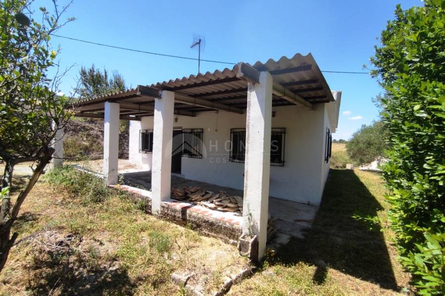 Te koop - Landhuis - Ontinyent