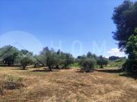 Te koop - Landhuis - Ontinyent