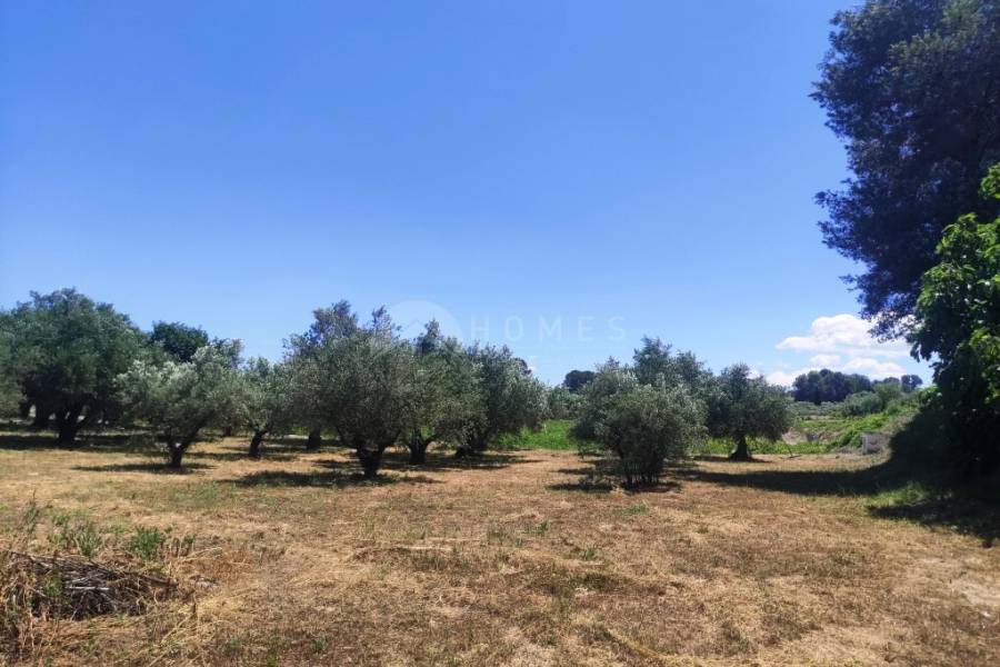 Te koop - Landhuis - Ontinyent