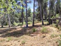 Te koop - Landhuis - Bocairent