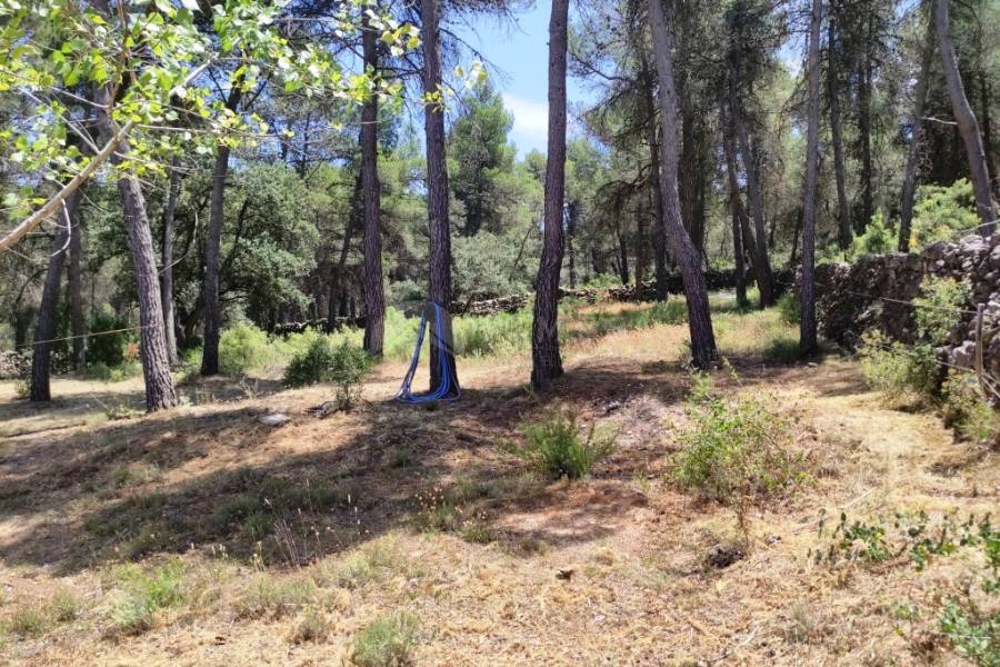Te koop - Landhuis - Bocairent
