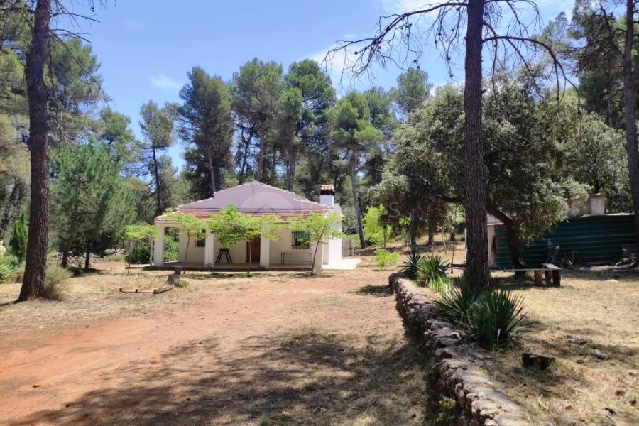 Te koop - Landhuis - Bocairent