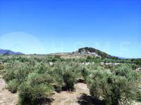 For sale - Country House - Penáguila