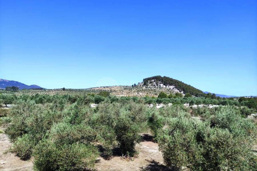 For sale - Country House - Penáguila