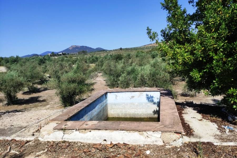 For sale - Country House - Penáguila