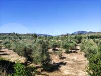 For sale - Country House - Penáguila