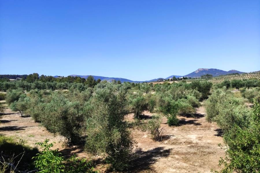 For sale - Country House - Penáguila