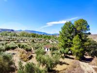 For sale - Country House - Penáguila