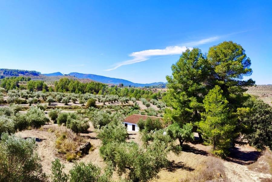 For sale - Country House - Penáguila