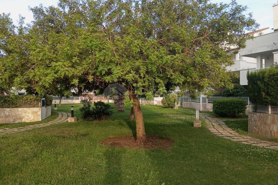 For rent - Apartment - El Verger