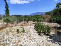 For sale - Country House - Benifallim